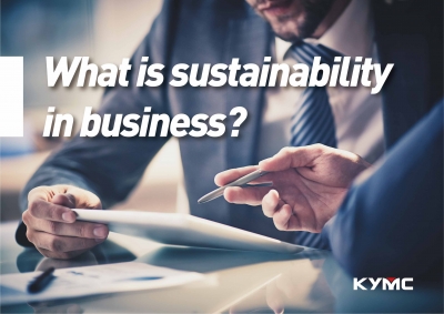 What is sustainability in business?